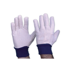 Cotton Drill Gloves - Blue Band - Mens -  PROCHOICE